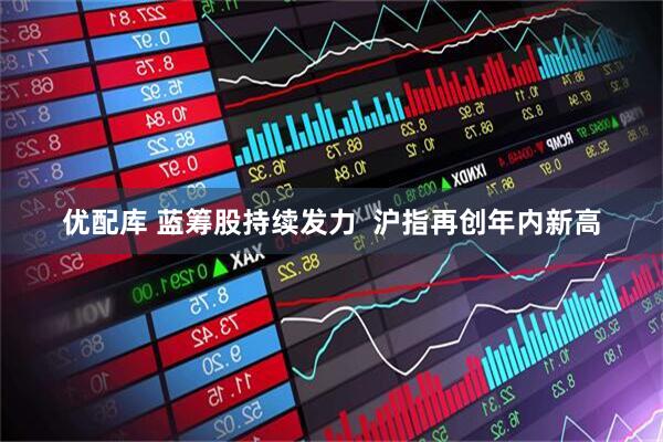 优配库 蓝筹股持续发力  沪指再创年内新高