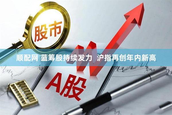 顺配网 蓝筹股持续发力  沪指再创年内新高