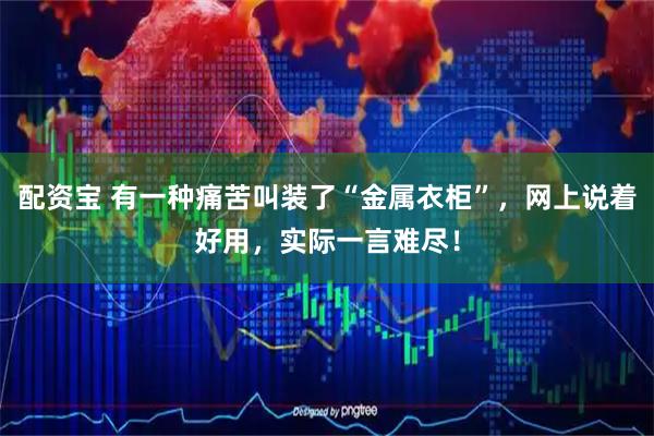 配资宝 有一种痛苦叫装了“金属衣柜”，网上说着好用，实际一言难尽！